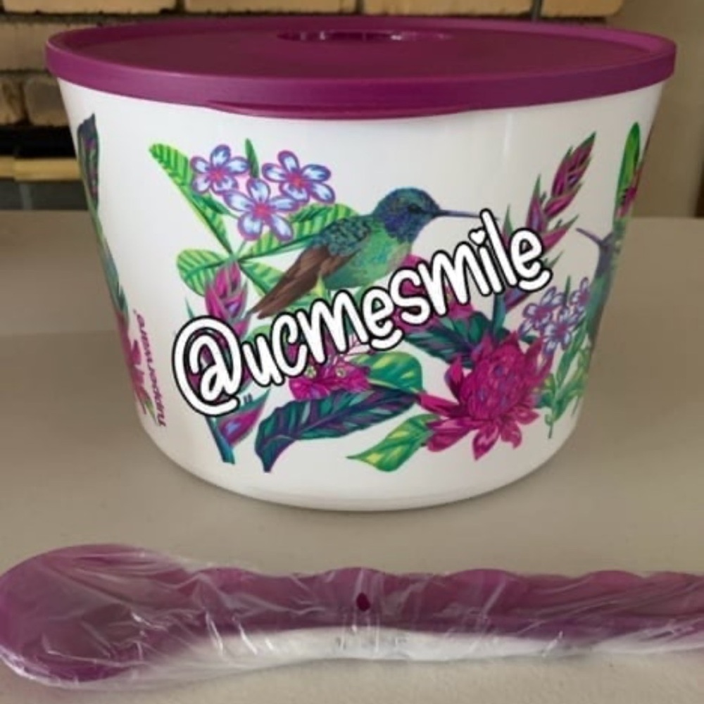 Tupperware Exclusive Hummingbird Large Canister w/ Impressions Serving Spoon Set